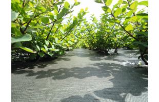 Agrotextile Okolys Groundcover - 100m