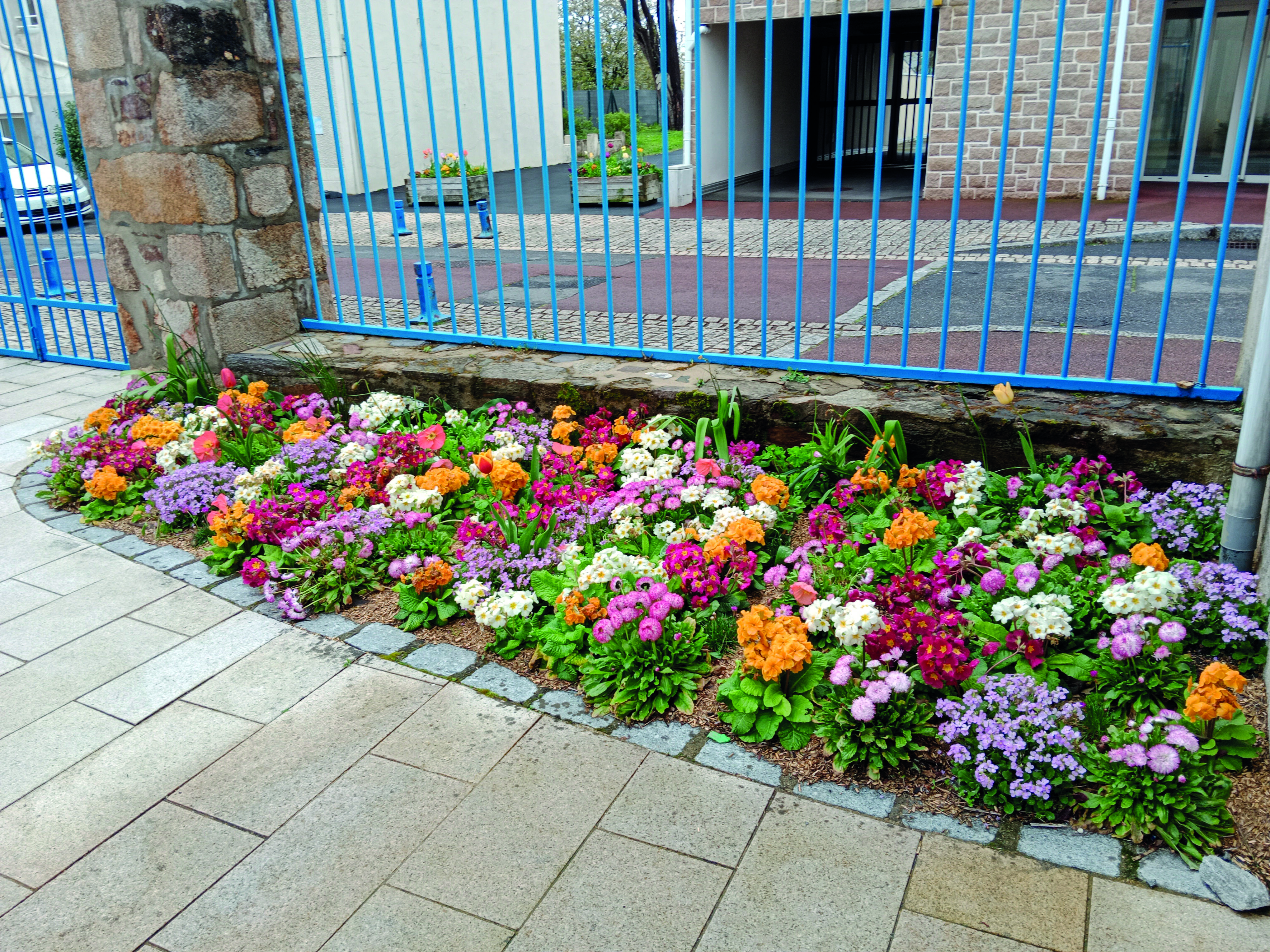 Quelles sont les solutions pour fleurir rapidement les espaces ?